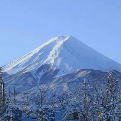 rise官方版(暂未上线)v1.0.0 安卓版