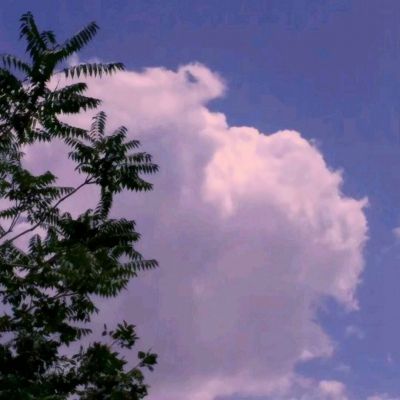 世界足球经理手游九游版下载